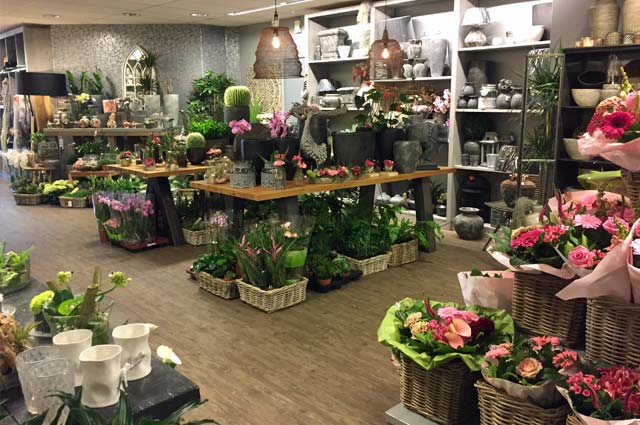 Tourist-Info-Het-Reestdal_CT_bekijkendoen_recreatie-vrije-tijd_winkelen_winkelen-de-Wijk-bloemenboetiek-Jarina-interieur-boeketten-planten